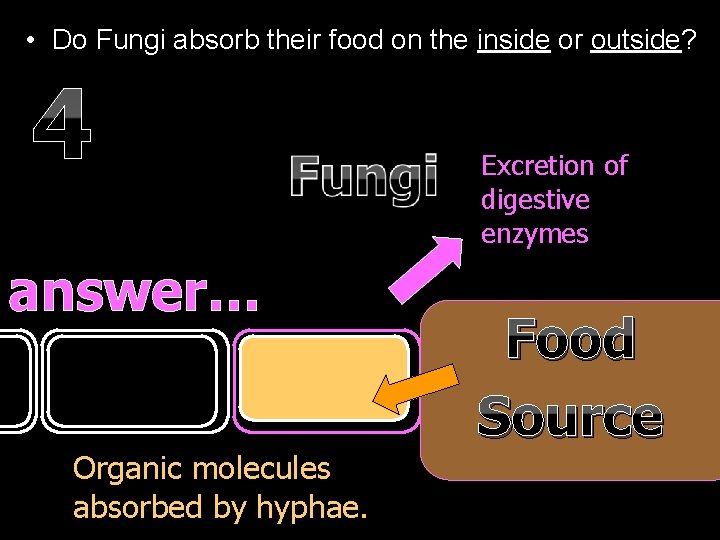  • Do Fungi absorb their food on the inside or outside? 4 answer…