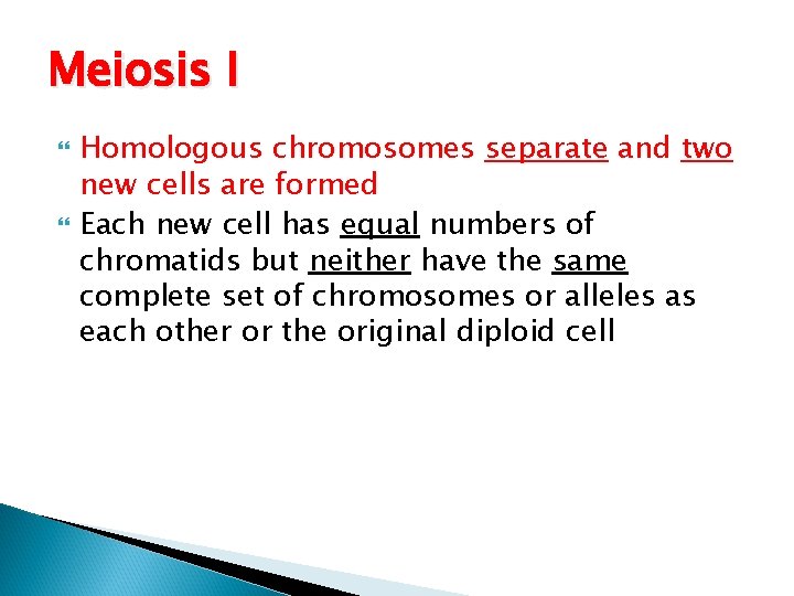 Meiosis I Homologous chromosomes separate and two new cells are formed Each new cell