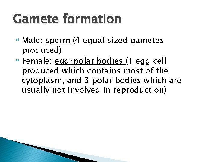 Gamete formation Male: sperm (4 equal sized gametes produced) Female: egg/polar bodies (1 egg