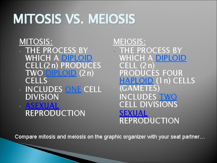 MITOSIS VS. MEIOSIS MITOSIS: • THE PROCESS BY WHICH A DIPLOID CELL(2 n) PRODUCES