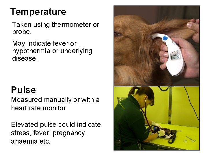 Temperature Taken using thermometer or probe. May indicate fever or hypothermia or underlying disease.