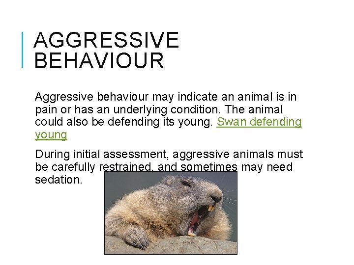 AGGRESSIVE BEHAVIOUR Aggressive behaviour may indicate an animal is in pain or has an