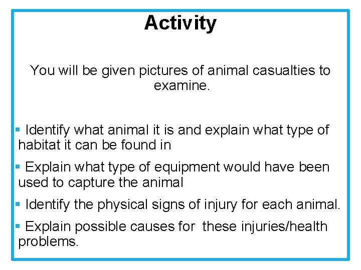 Activity You will be given pictures of animal casualties to examine. § Identify what