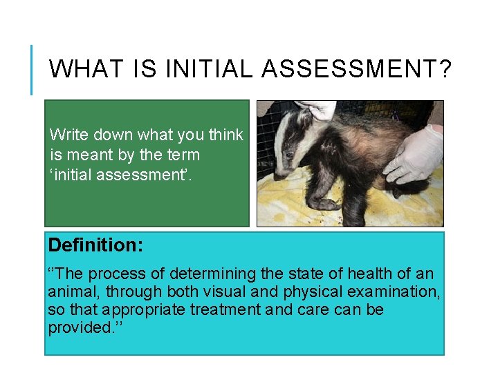 WHAT IS INITIAL ASSESSMENT? Write down what you think is meant by the term
