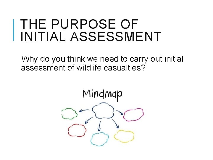 THE PURPOSE OF INITIAL ASSESSMENT Why do you think we need to carry out