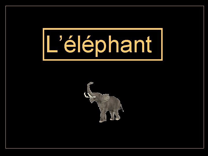 L’éléphant 