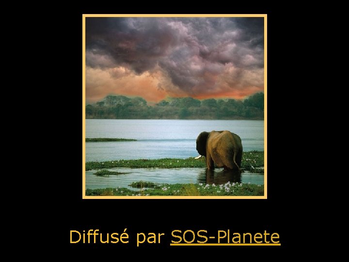 Diffusé par SOS-Planete 