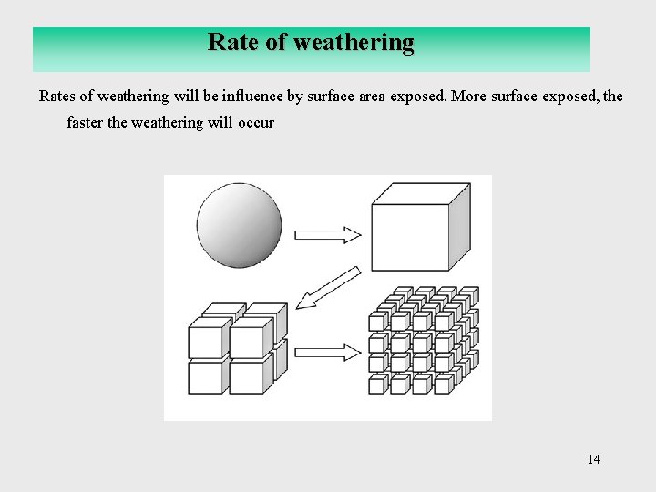 Rate of weathering Rates of weathering will be influence by surface area exposed. More