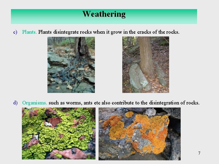Weathering c) Plants disintegrate rocks when it grow in the cracks of the rocks.