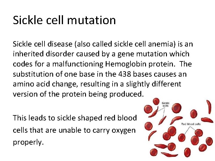 Sickle cell mutation Sickle cell disease (also called sickle cell anemia) is an inherited