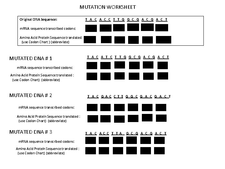 MUTATION WORKSHEET Original DNA Sequence: T A C C T T G G C