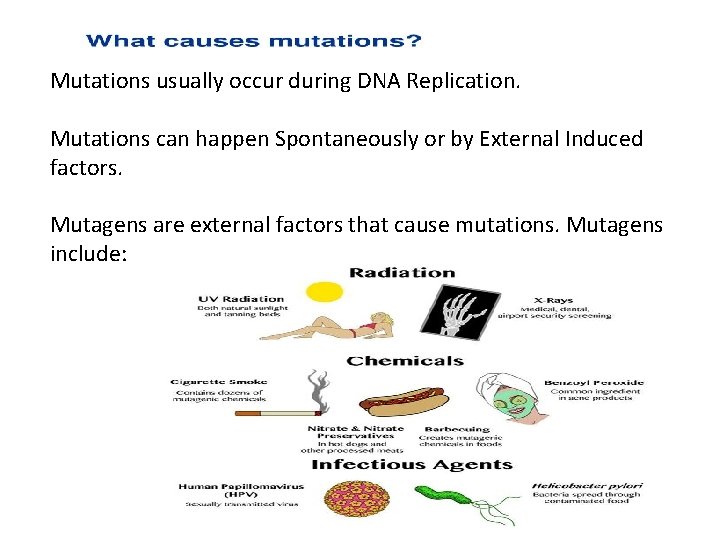 Mutations usually occur during DNA Replication. Mutations can happen Spontaneously or by External Induced
