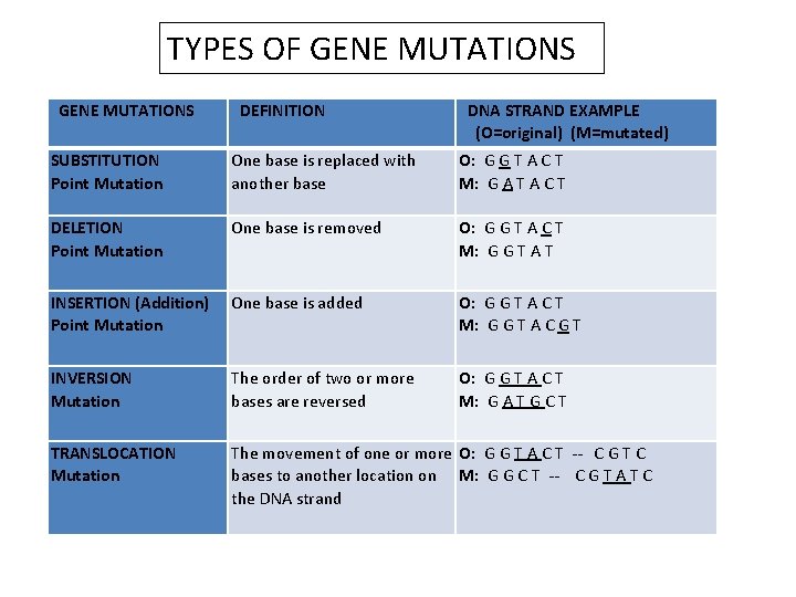 TYPES OF GENE MUTATIONS DEFINITION DNA STRAND EXAMPLE (O=original) (M=mutated) SUBSTITUTION Point Mutation One