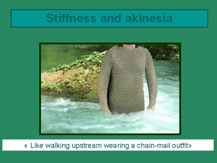 Stiffness and akinesia « Like walking upstream wearing a chain-mail outfit» 