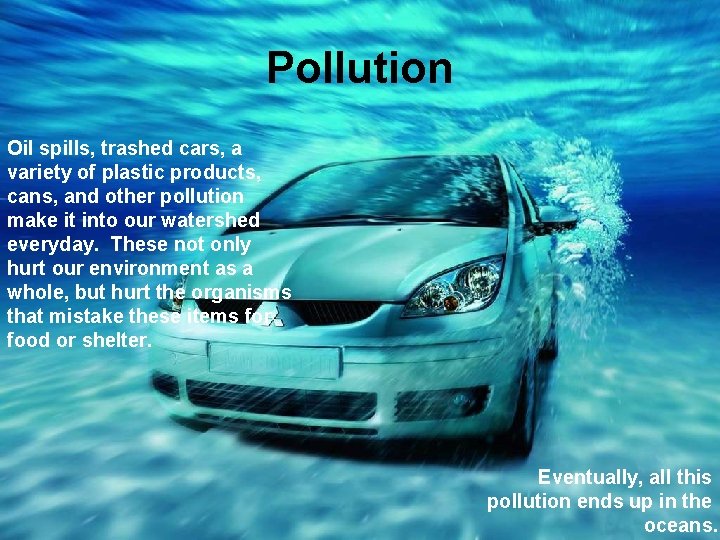 Pollution Oil spills, trashed cars, a variety of plastic products, cans, and other pollution