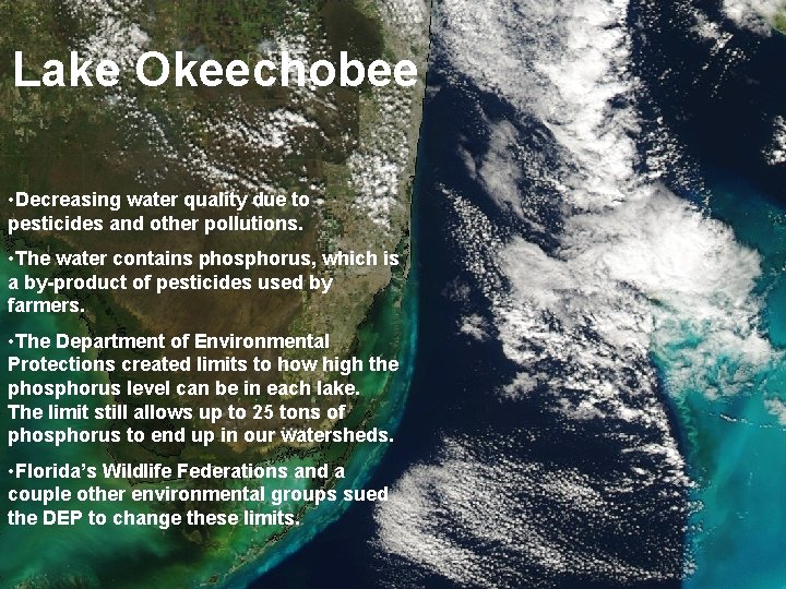 Lake Okeechobee • Decreasing water quality due to pesticides and other pollutions. • The