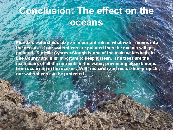 Conclusion: The effect on the oceans Florida’s watersheds play an important role in what