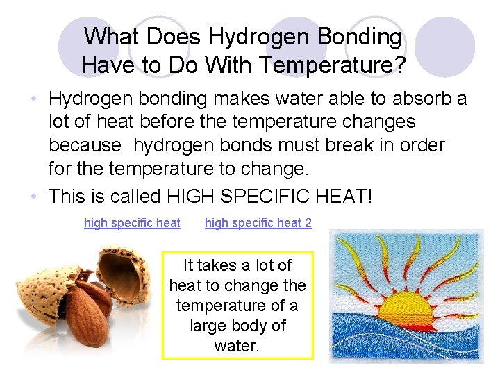 What Does Hydrogen Bonding Have to Do With Temperature? • Hydrogen bonding makes water