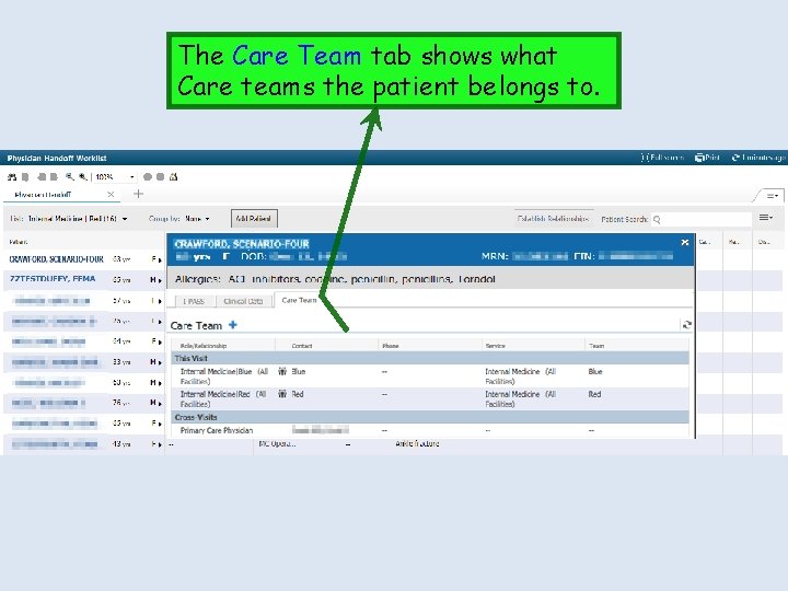The Care Team tab shows what Care teams the patient belongs to. The Care Team tab shows what Care teams the patient belongs to.