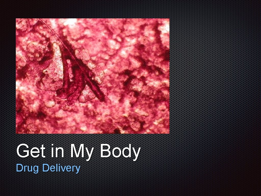 Text Get in My Body Drug Delivery 