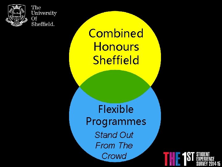 Combined Honours Sheffield Flexible Programmes Stand Out From The Crowd 