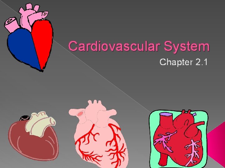 Cardiovascular System Chapter 2 1 Circulatory System Carries