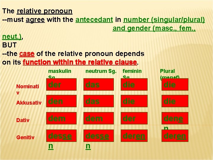 The relative pronoun --must agree with the antecedant in number (singular/plural) and gender (masc.