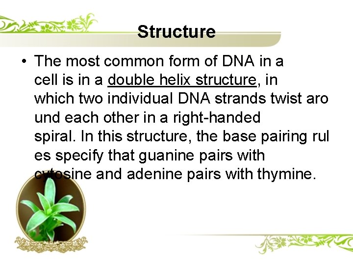 Structure • The most common form of DNA in a cell is in a