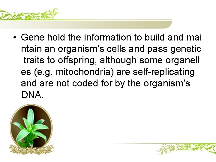  • Gene hold the information to build and mai ntain an organism’s cells