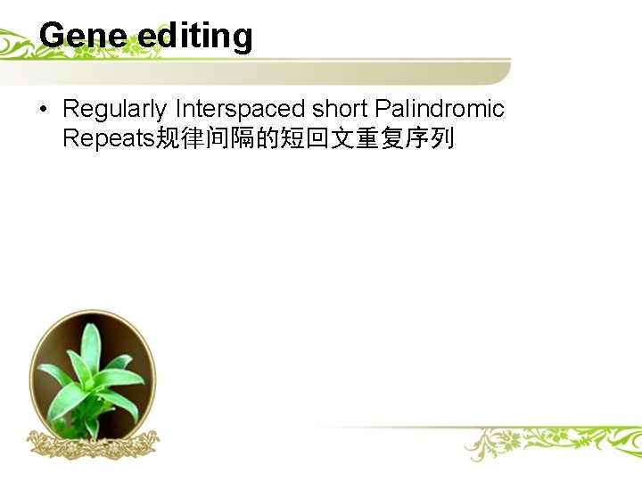 Gene editing • Regularly Interspaced short Palindromic Repeats规律间隔的短回文重复序列 