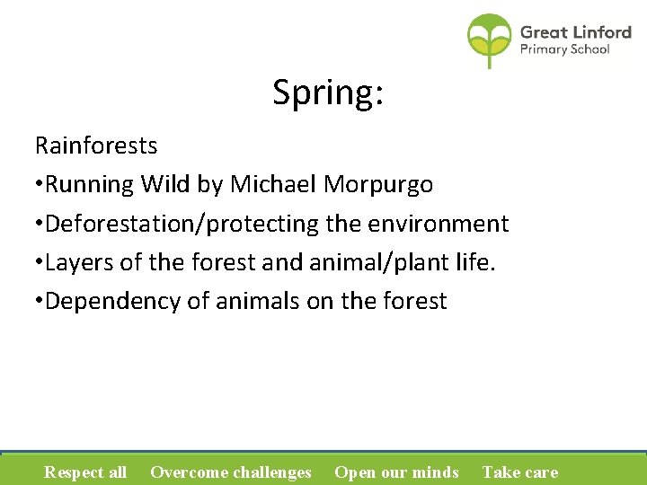 Spring: Rainforests • Running Wild by Michael Morpurgo • Deforestation/protecting the environment • Layers