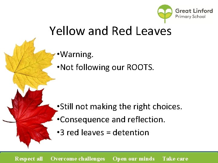 Yellow and Red Leaves • Warning. • Not following our ROOTS. • Still not