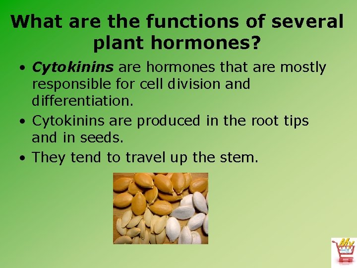 What are the functions of several plant hormones? • Cytokinins are hormones that are