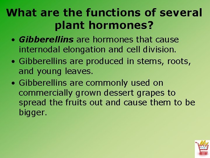 What are the functions of several plant hormones? • Gibberellins are hormones that cause