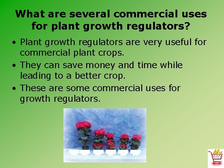 What are several commercial uses for plant growth regulators? • Plant growth regulators are