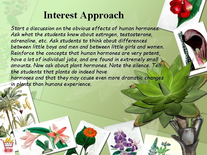 Interest Approach Start a discussion on the obvious effects of human hormones. Ask what