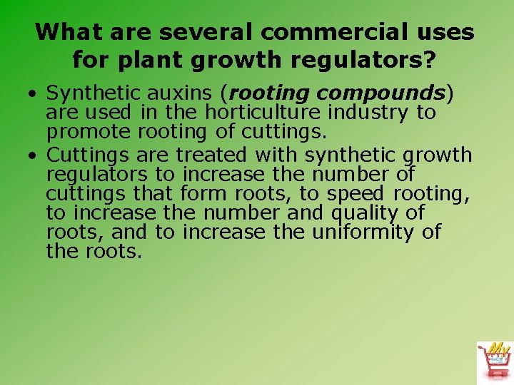 What are several commercial uses for plant growth regulators? • Synthetic auxins (rooting compounds)