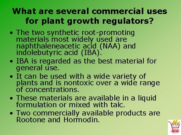 What are several commercial uses for plant growth regulators? • The two synthetic root-promoting