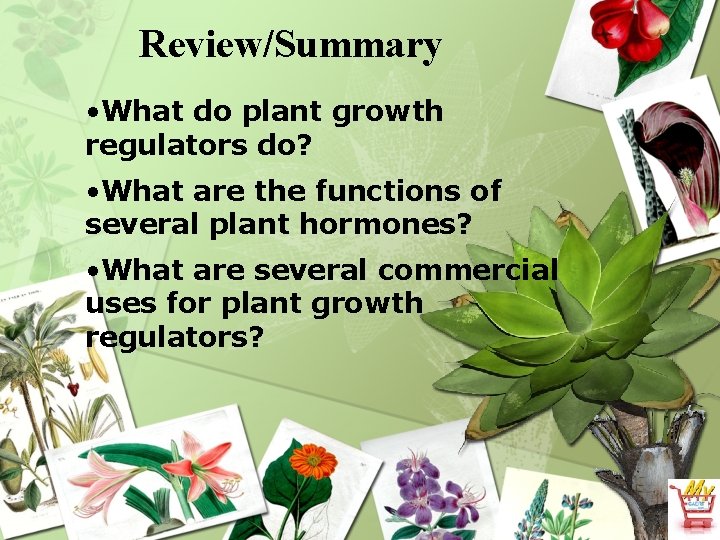 Review/Summary • What do plant growth regulators do? • What are the functions of