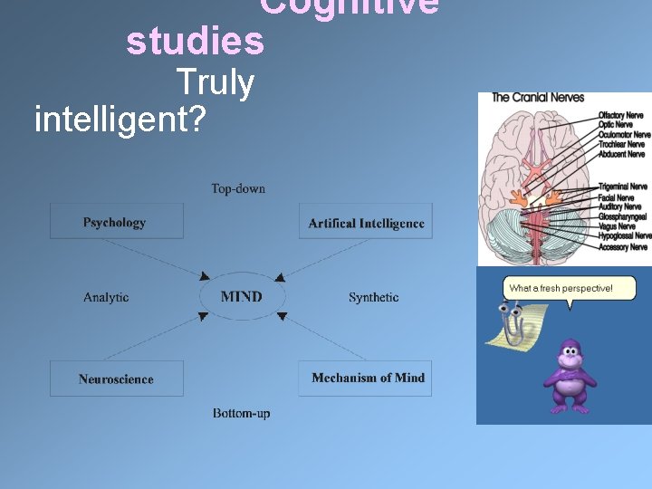 Cognitive studies Truly intelligent? 