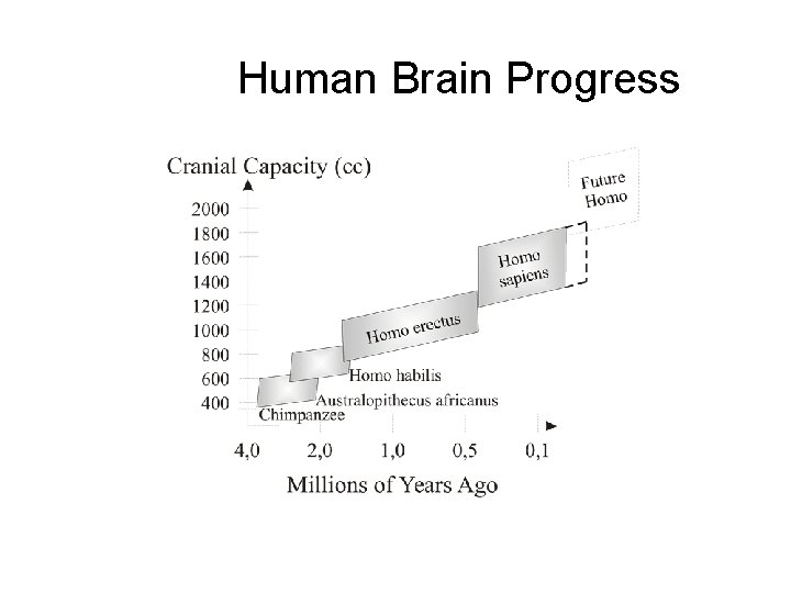 Human Brain Progress 