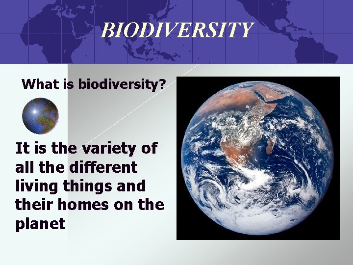 BIODIVERSITY What is biodiversity? It is the variety of all the different living things