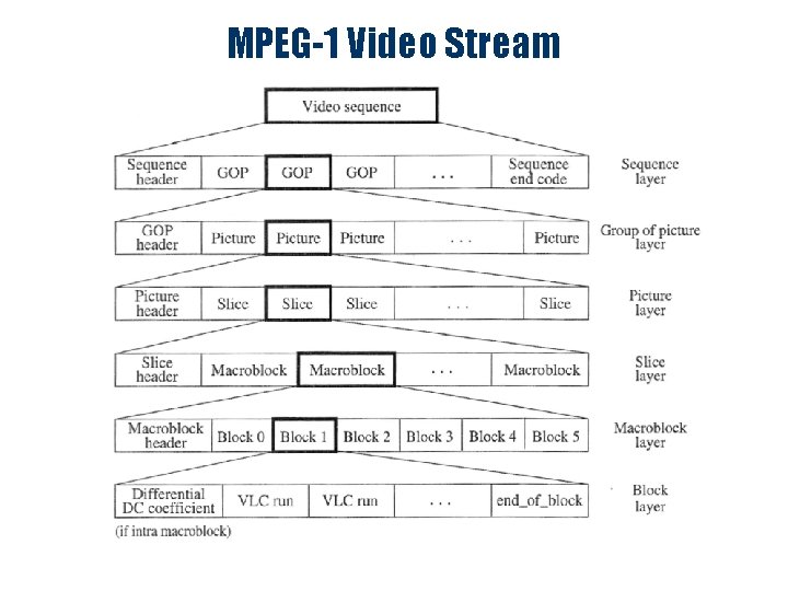 MPEG-1 Video Stream 
