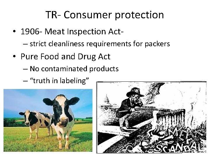 TR- Consumer protection • 1906 - Meat Inspection Act– strict cleanliness requirements for packers