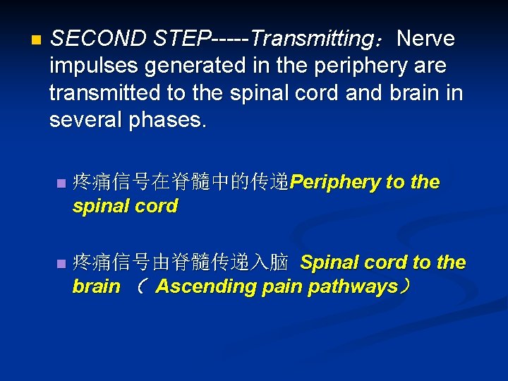 n SECOND STEP-----Transmitting：Nerve impulses generated in the periphery are transmitted to the spinal cord