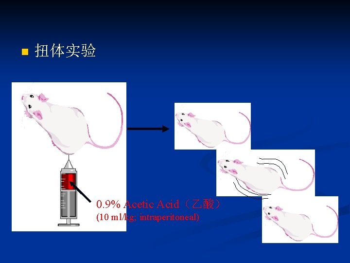 n 扭体实验 0. 9% Acetic Acid（乙酸） (10 ml/kg; intraperitoneal) 