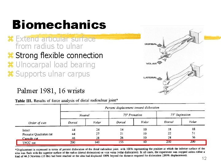 Biomechanics z Extend articular surface from radius to ulnar z Strong flexible connection z