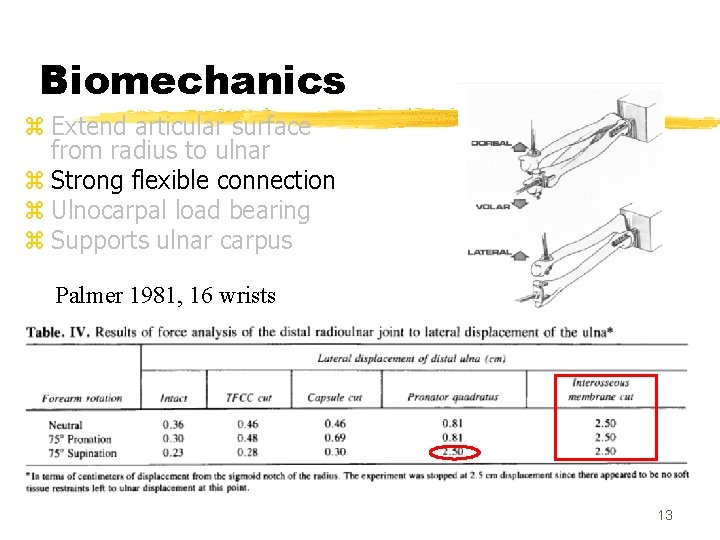 Biomechanics z Extend articular surface from radius to ulnar z Strong flexible connection z