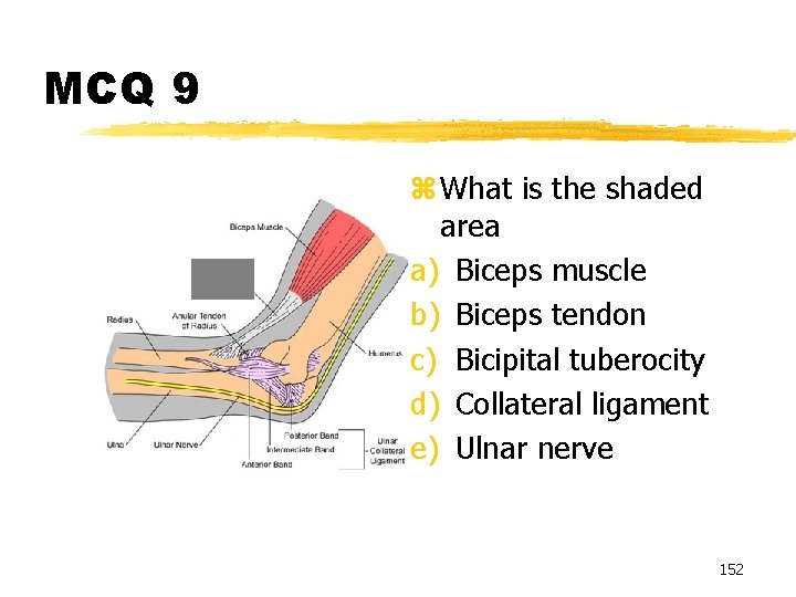 MCQ 9 z What is the shaded area a) Biceps muscle b) Biceps tendon