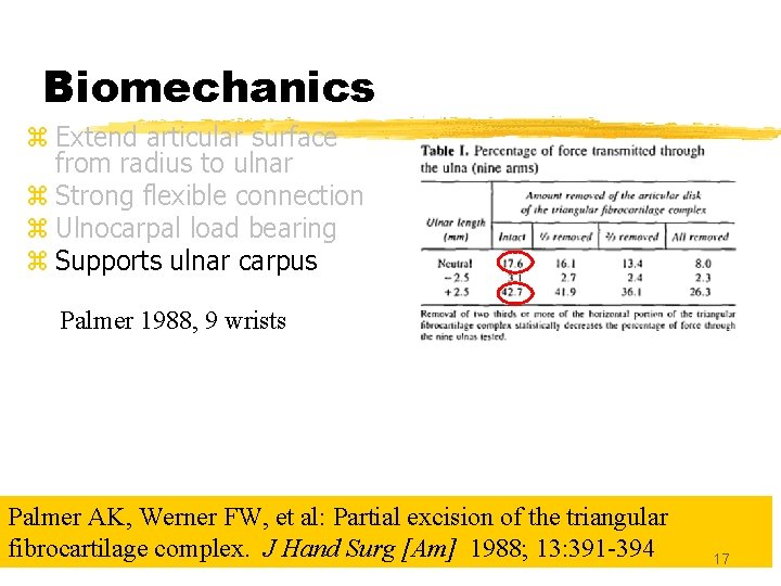 Biomechanics z Extend articular surface from radius to ulnar z Strong flexible connection z